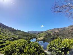 Porto-Portugal Tour - An Amazing day in Douro Valley: Xisto Wine ...