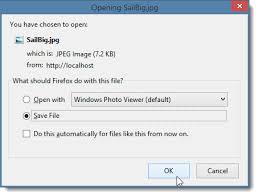 file with a save as dialog in asp net