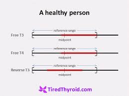 Thyroid Reference Ranges Are Too Broad What Is Healthy