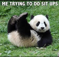 sit ups funny panda memes 533345271