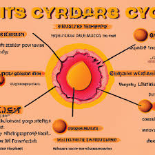 skin cyst types causes symptoms