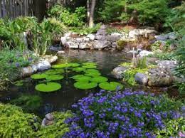 water garden design planning