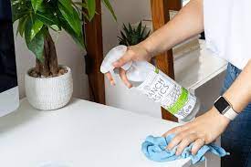 the best non toxic cleaning s in