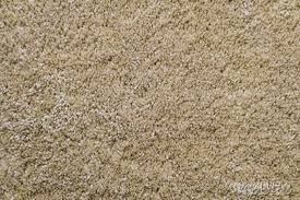 texture of beige frieze carpet