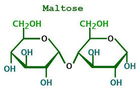 Maltose Formula Structure Properties