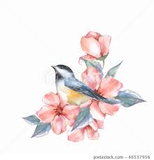 Bird And Flowers Watercolor Painting