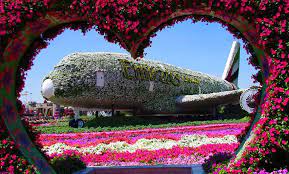 miracle garden global village entry