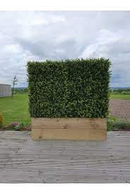 Artificial Hedging Screens The