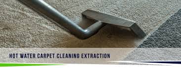 deep soil carpet cleaning steam pros