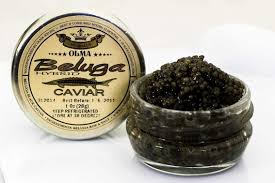 Yes, and the eggs found only in sturgeon fish is called caviar and. Beluga Sturgeon Caviar Olma Caviar Beluga Sturgeon Beluga Caviar Caviar