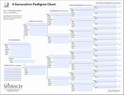 Fillable 6 Generation Family Tree New Genealogy The Boyle