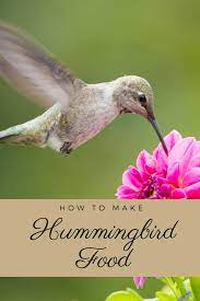 best homemade hummingbird nectar a