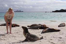 Administratively, galapagos constitutes one of the provinces of ecuador, made up of three cantons that bear the names of its most populated islands, namely: Galapagos Reisen Sicher Buchen Beste Auswahl Preise