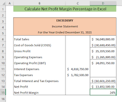 calculate net profit margin percene