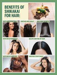 shikakai for hair all the benefits