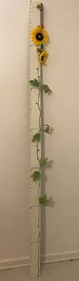 Apartment Friendly Diy Growth Chart For Kids For Under 20