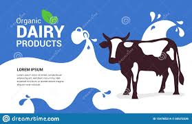 Organic Dairy Products Illustration With Cow Stock Vector
