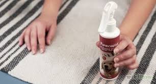 3 ways to get rid of wet carpet smell