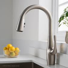 Check spelling or type a new query. Kraus Kpf1670sfs Dual Function Pull Down Kitchen Faucet With All Brite Stainless Steel Finish Reach Technology And Dual Function Sprayhead Spot Free Stainless Steel
