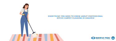 professional office carpet cleaning