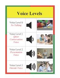 Voice Level Expectations Chart Red Green And Yellow