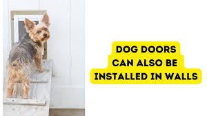 Ing A Dog Door 5 Things You Need To