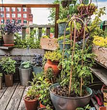 Rooftop Container Garden Diy Raised