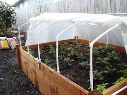 Cold Frame For A Raised Garden Bed