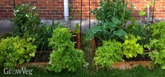 planting systems for vegetable gardens