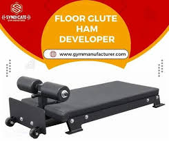 floor glute ham developer at rs 8800