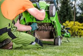when to dethatch lawn 7 vital tips to