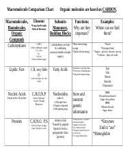 Macromoleculescharts Docx Macromolecule Comparison Chart