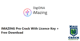 Use your iphone or ipod touch as a removable storage drive. Digidna Imazing 2 13 4 Crack With Licence Key Free Download 2021