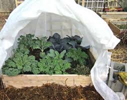 square foot gardening how to plan your