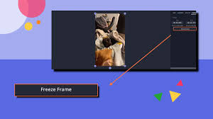 freeze frame to your video for free