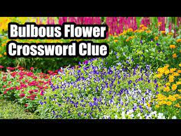 Bulbous Flower Clue