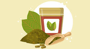 Red Vein Kratom Benefits – Dosage and Types - Space Coast Daily