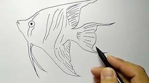 cara menggambar ikan hias dengan mudah