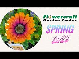 2023 Flowercraft Spring Commercial