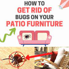 bugs on patio furniture