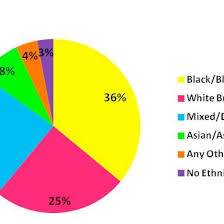 Figure One Pie Chart Showing Participant Ethnicity Of Young