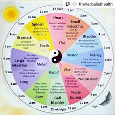 Repost Theherbalisthealth Organ Detox Clock Chart