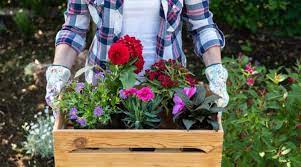 6 Reasons Why Gardening So Theutic