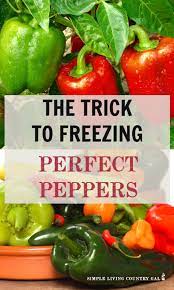 how to freeze peppers simple living