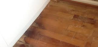 Answers About Cupping Hardwood Floors