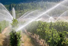 The Paradox Of Irrigation Efficiency