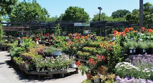 Garden Centers Of Hampton Roads