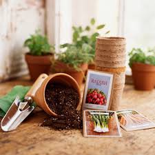 9 places to garden seeds the