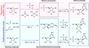 borate guided ribose phosphorylation