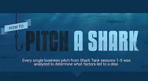 How To Pitch A Shark Everything You